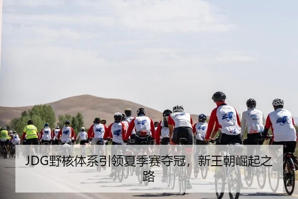 JDG野核体系引领夏季赛夺冠，新王朝崛起之路